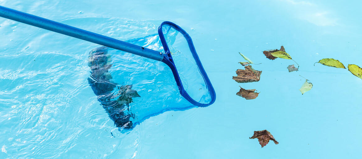 swimming pool cleaning melbourne